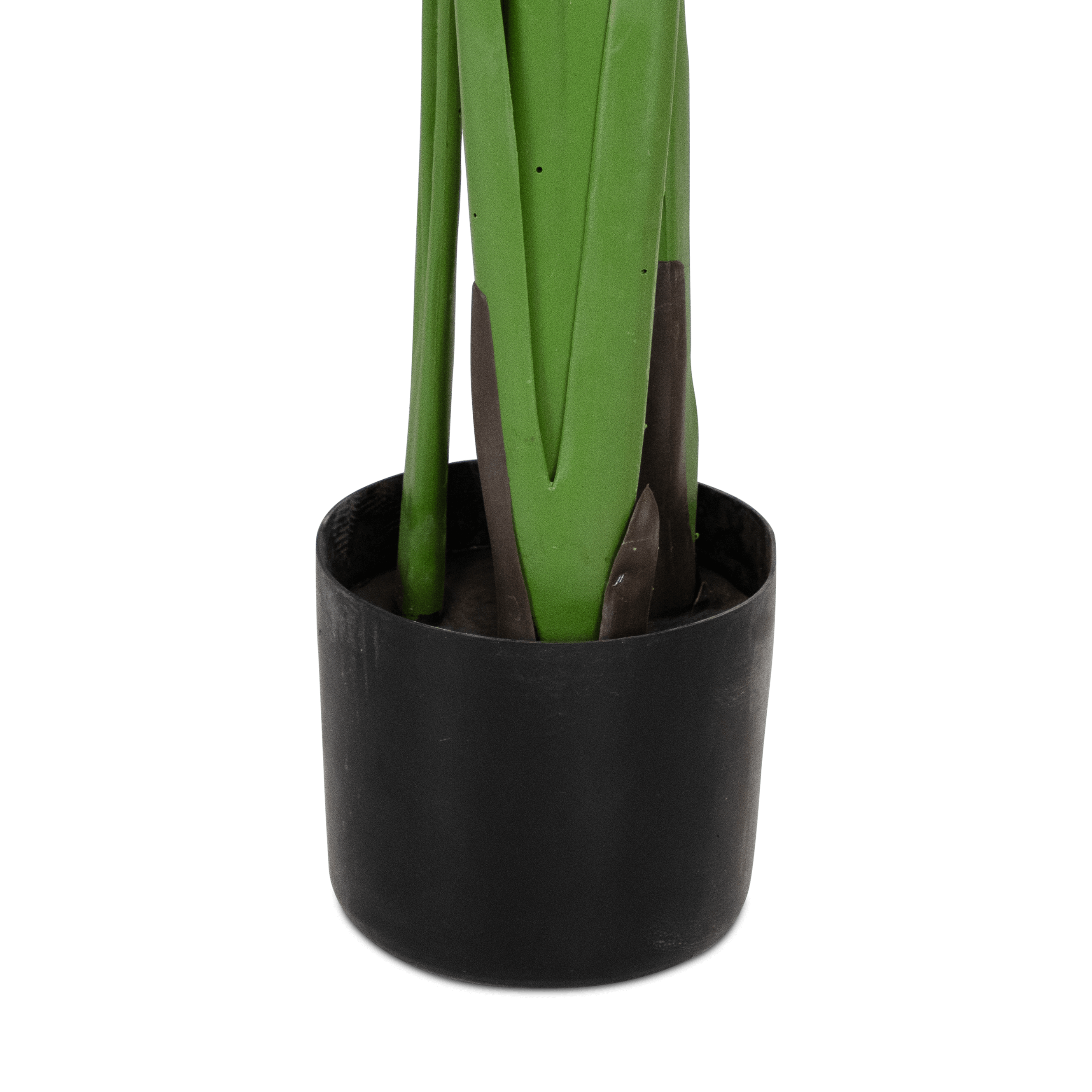 Bird of Paradise 180cm Tall