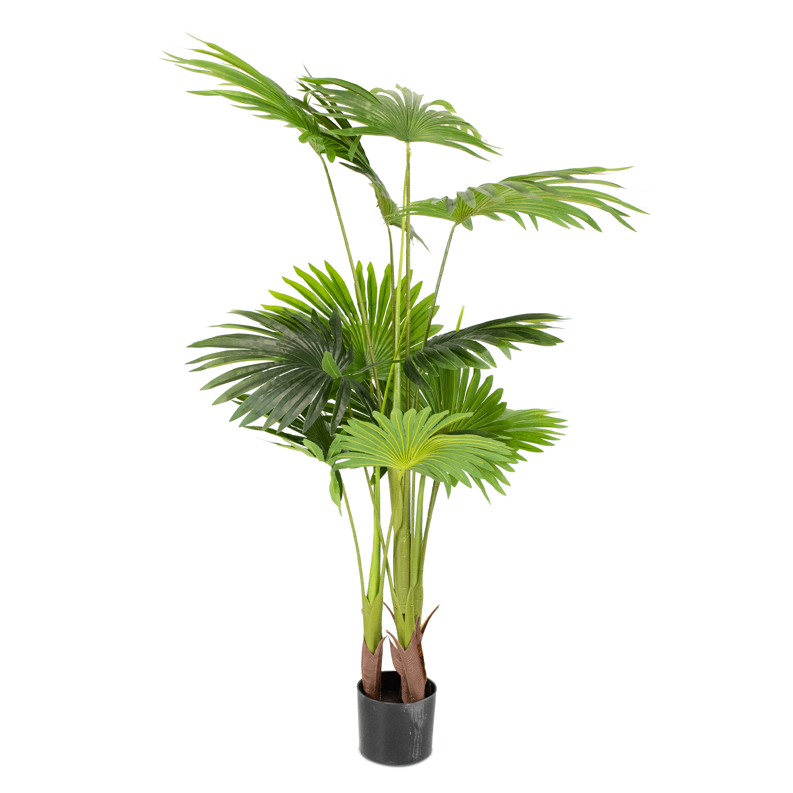 Palm 140cm