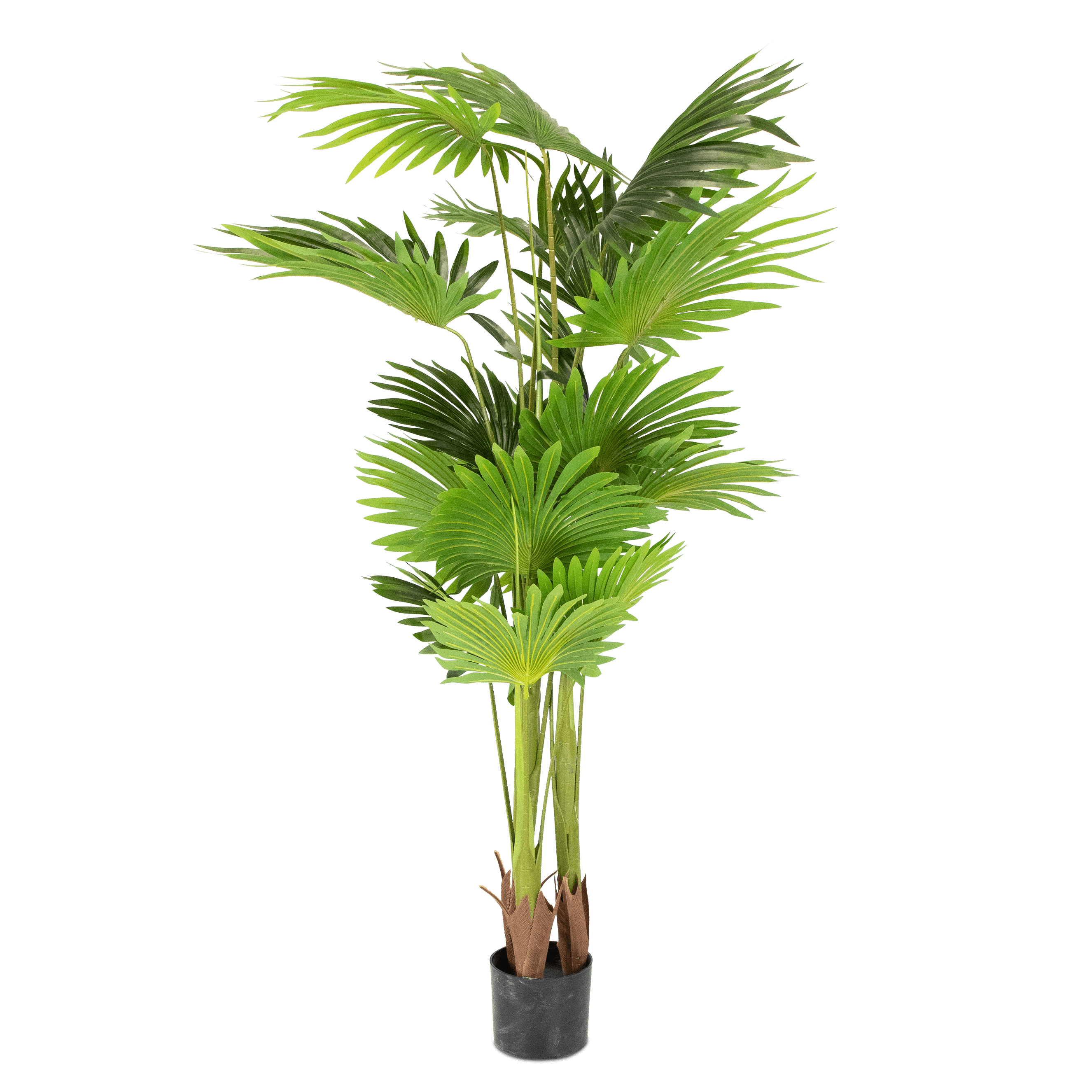 Palm 160cm