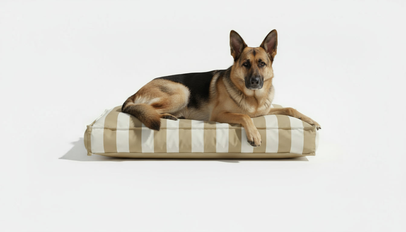 Pawesome Indoor/Outdoor Premium Rectangle Dog Bed in Taupe Stripe