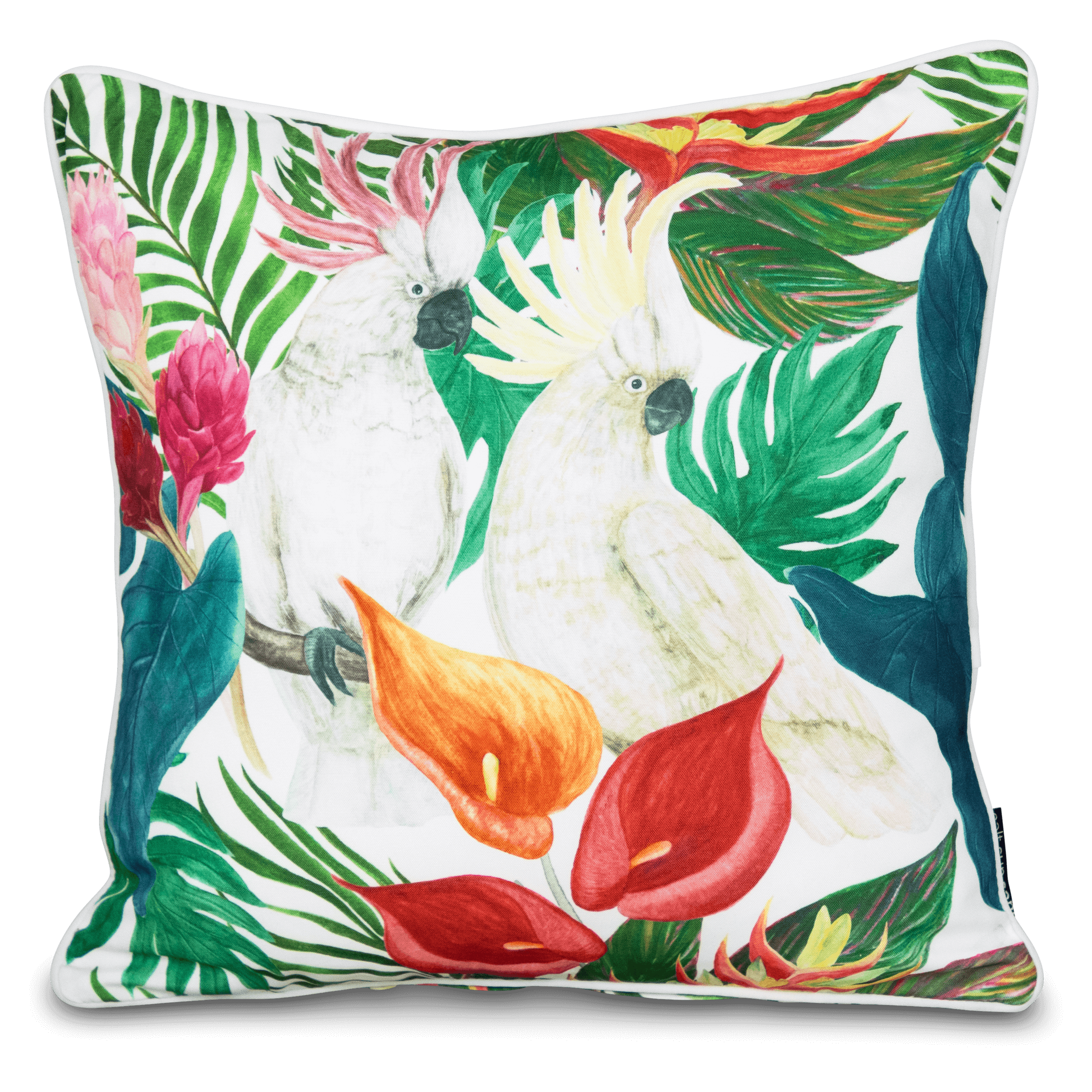Bondi Stylist Selection - Forest Cockatwo 5pc