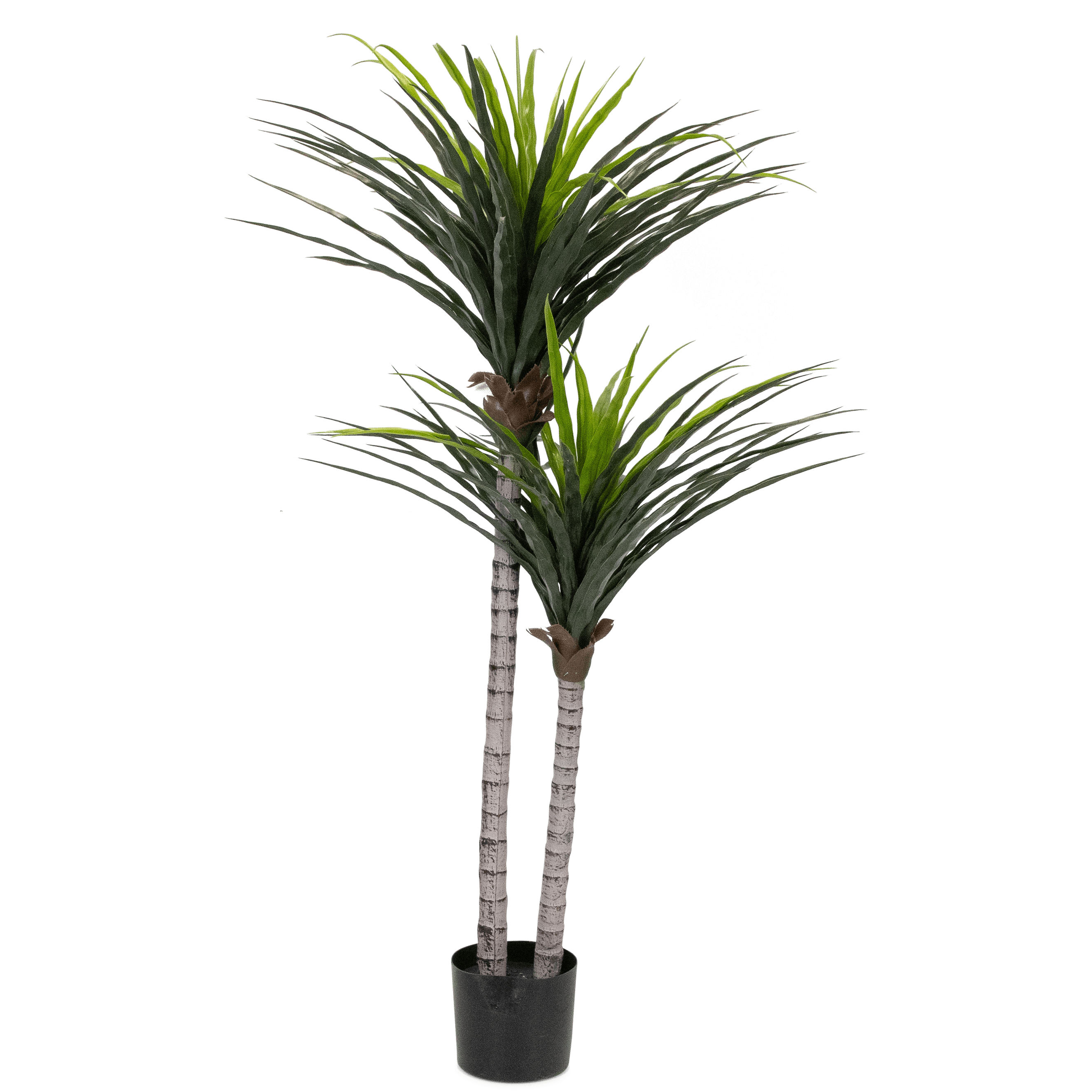Yucca 130cm
