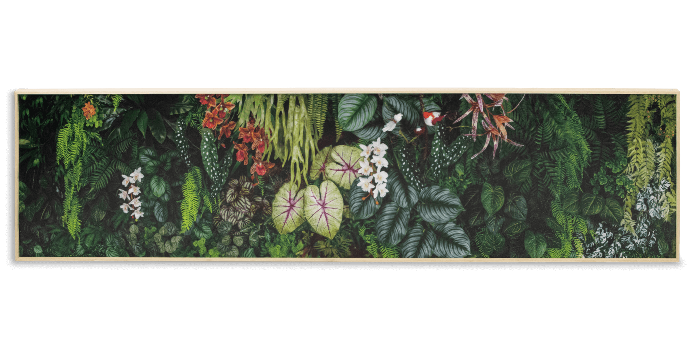 Outdoor Wall Art Buy Wall Art Online Daintree Dreaming The Furniture Shack