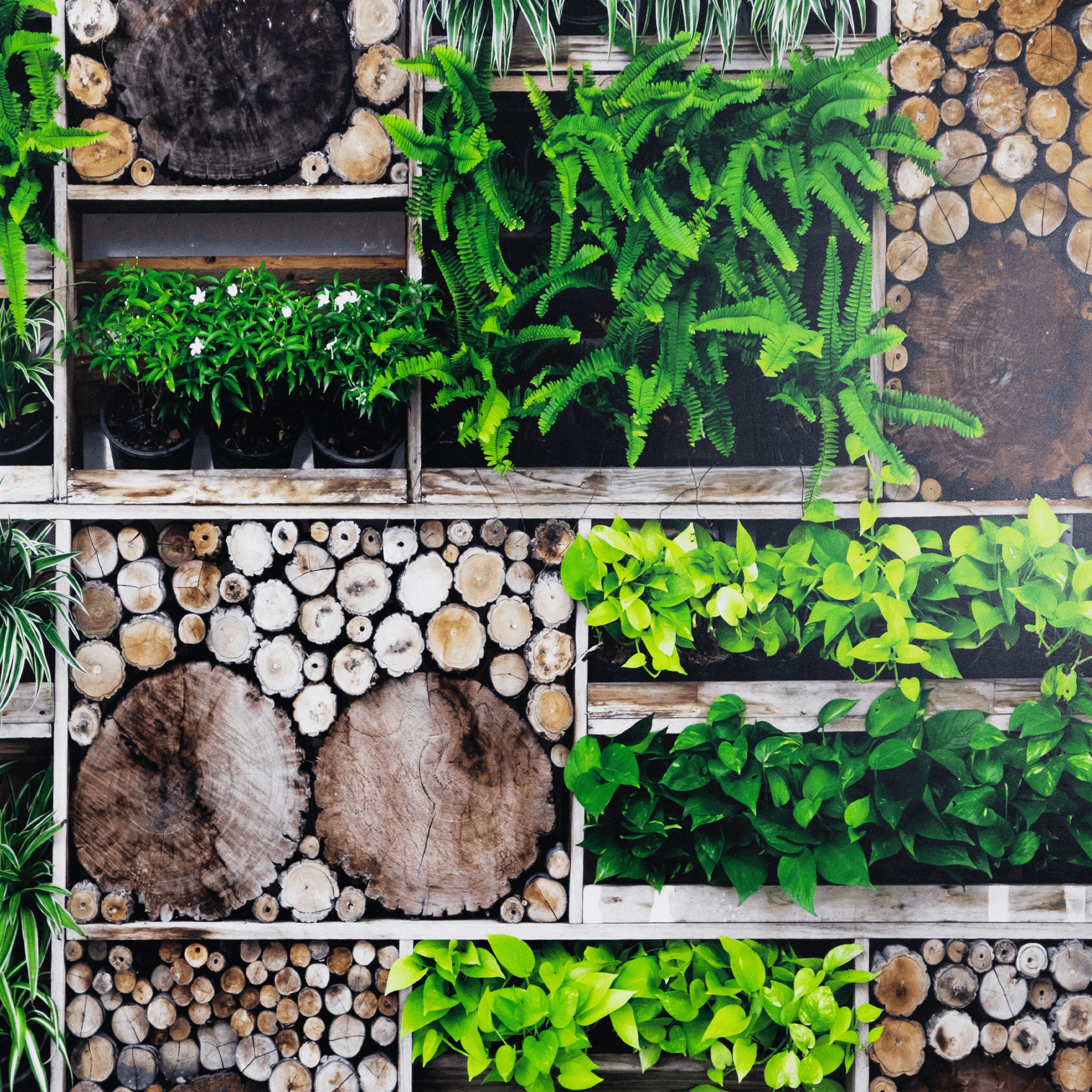 Market Garden - 100 x 100cm Outdoor UV Wall Art with Beech Aluminium Frame