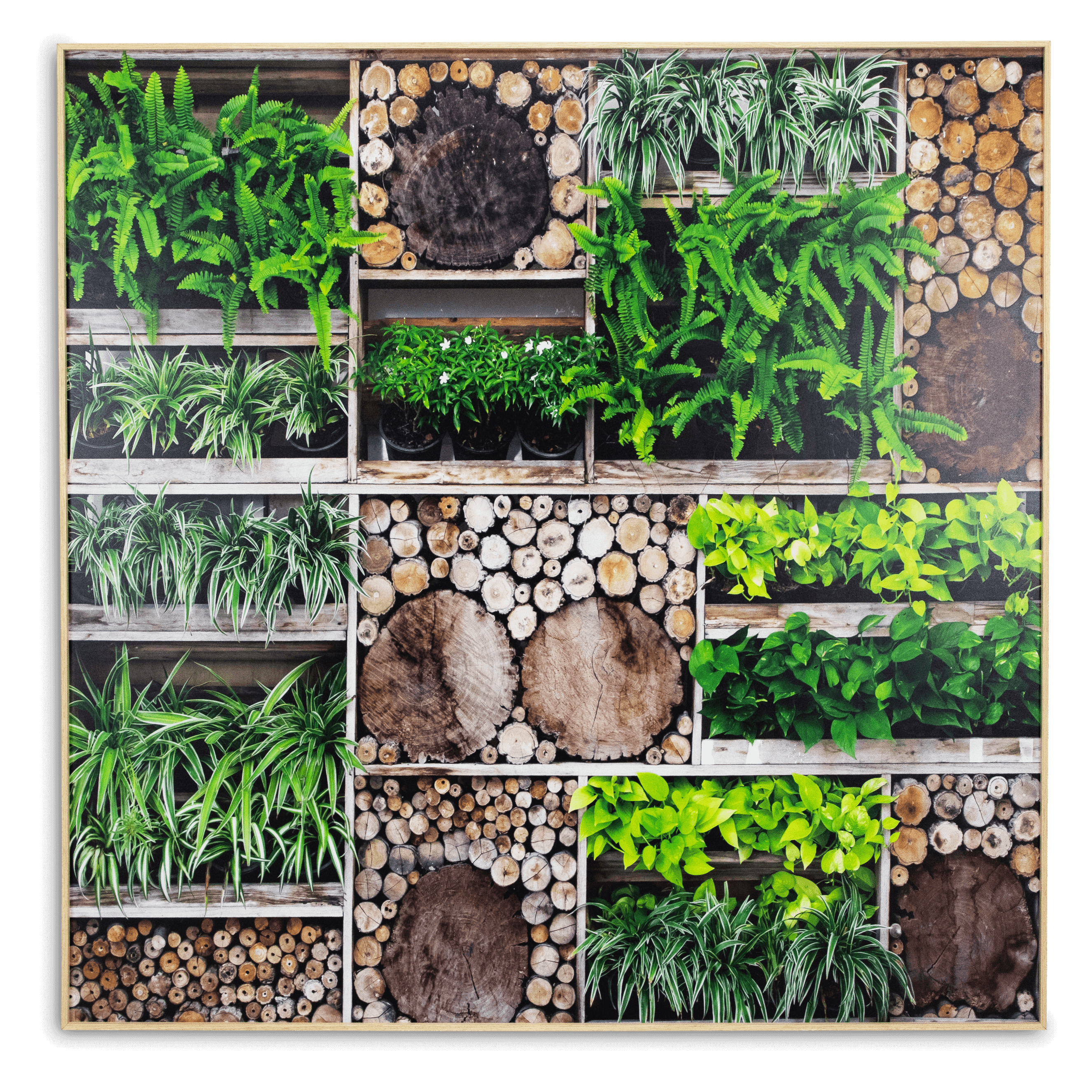 Market Garden - 100 x 100cm Outdoor UV Wall Art with Beech Aluminium Frame