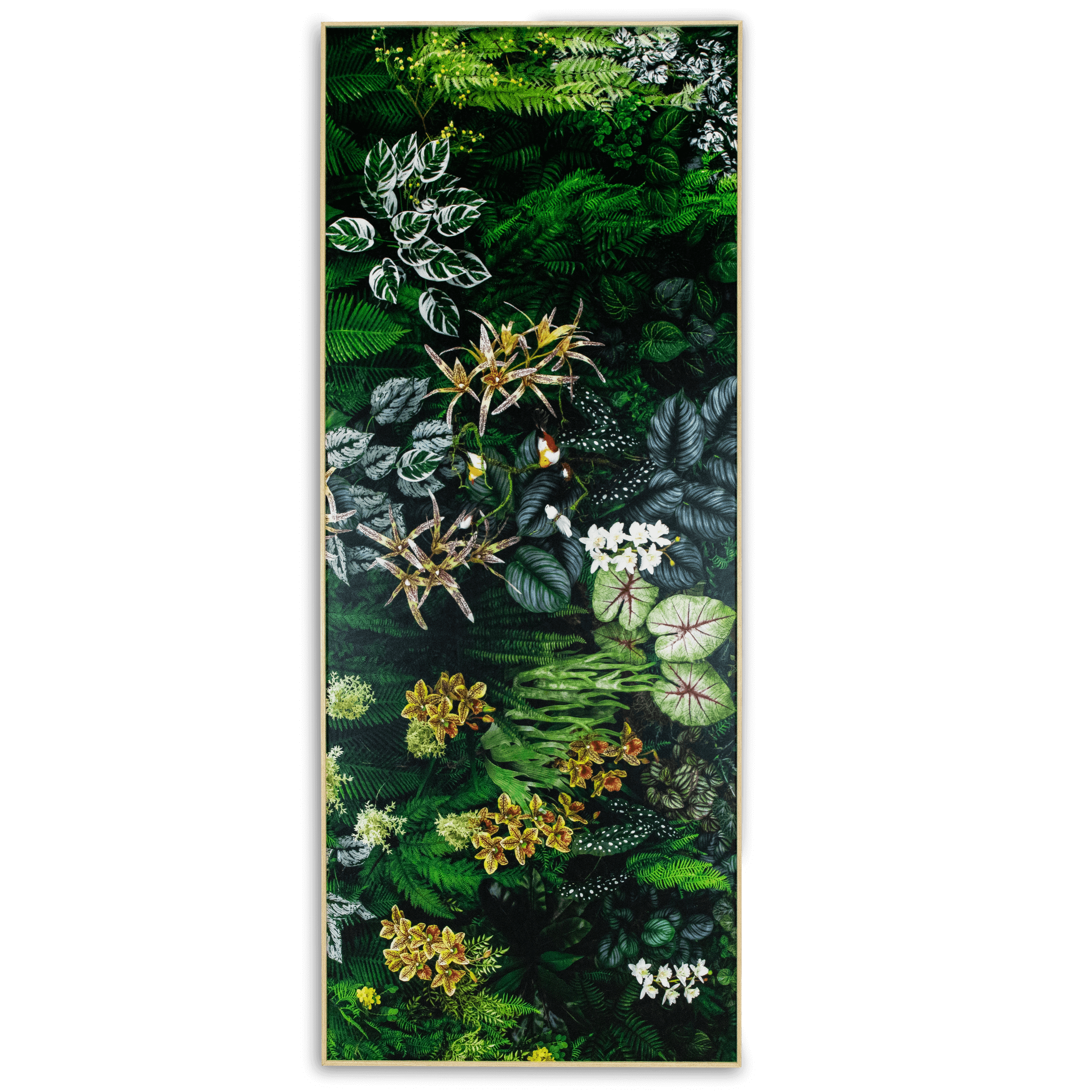 Botanic Horizon - 60 x 150cm Outdoor UV Wall Art with Beech Aluminium Frame