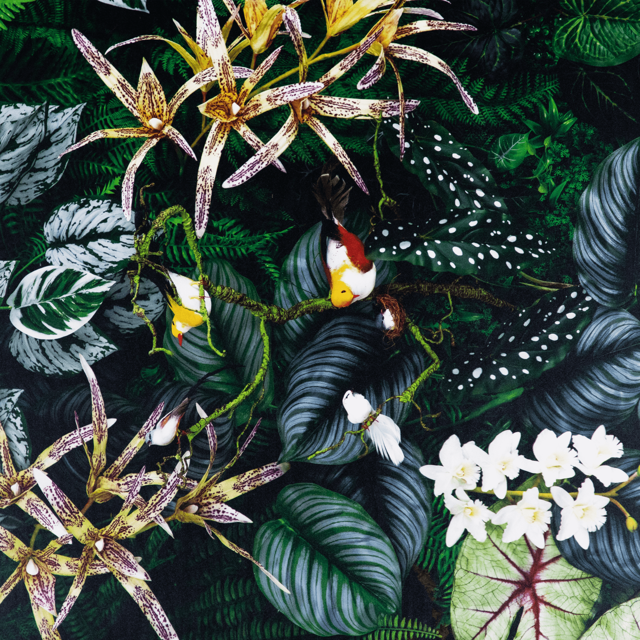 Botanic Horizon - 60 x 150cm Outdoor UV Wall Art with Beech Aluminium Frame