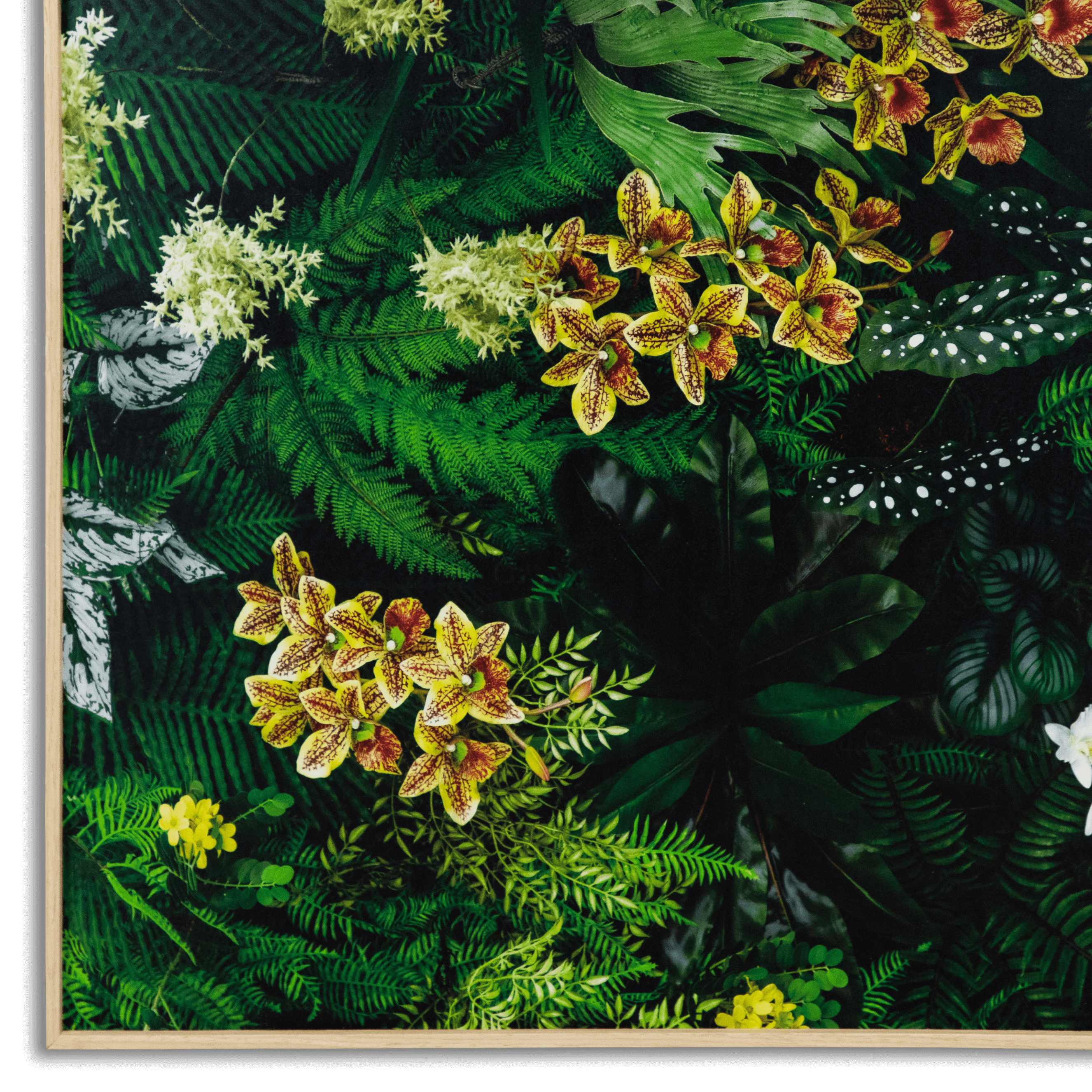 Botanic Horizon - 60 x 150cm Outdoor UV Wall Art with Beech Aluminium Frame