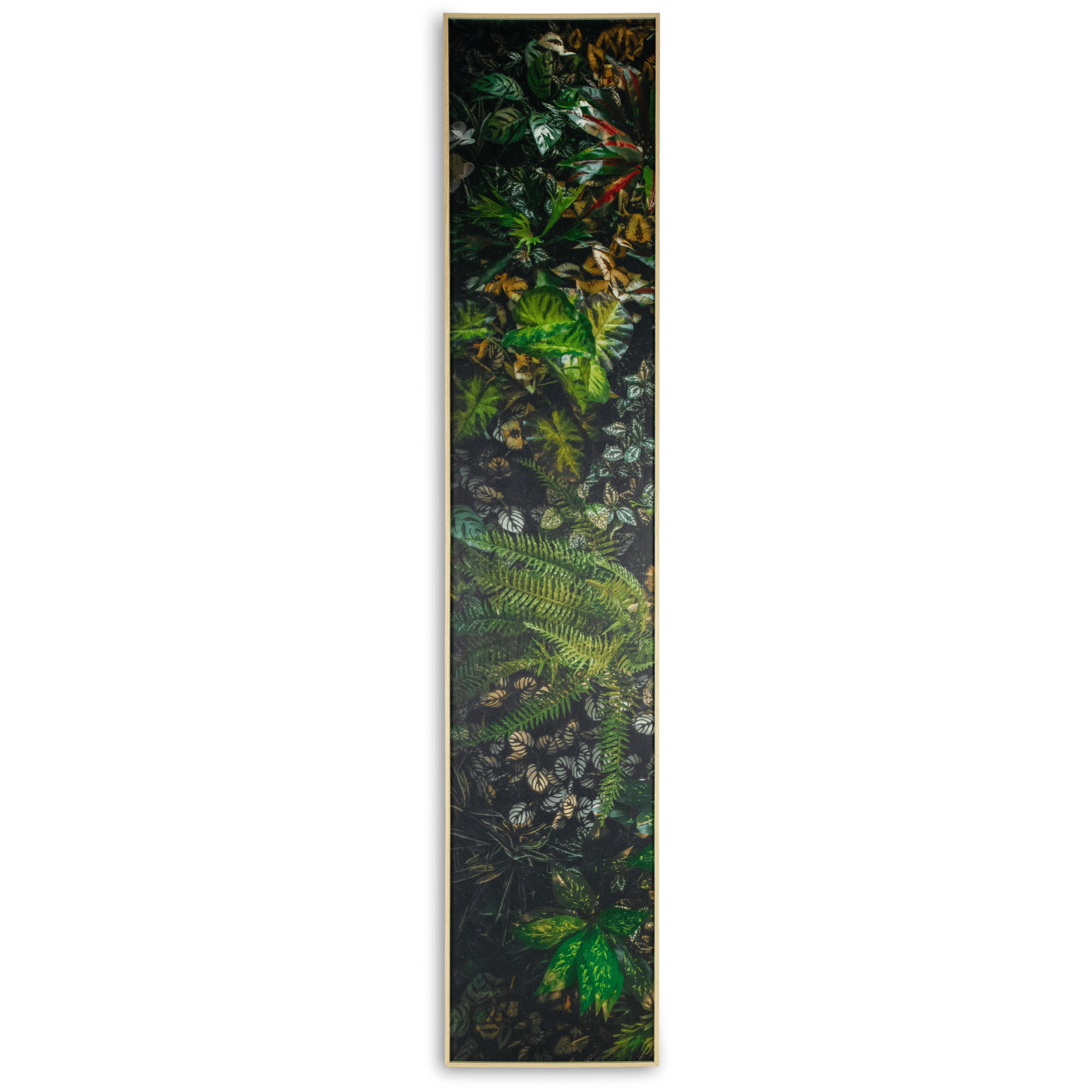 Greenery - 30 x 150cm Outdoor UV Wall Art with Beech Aluminium Frame