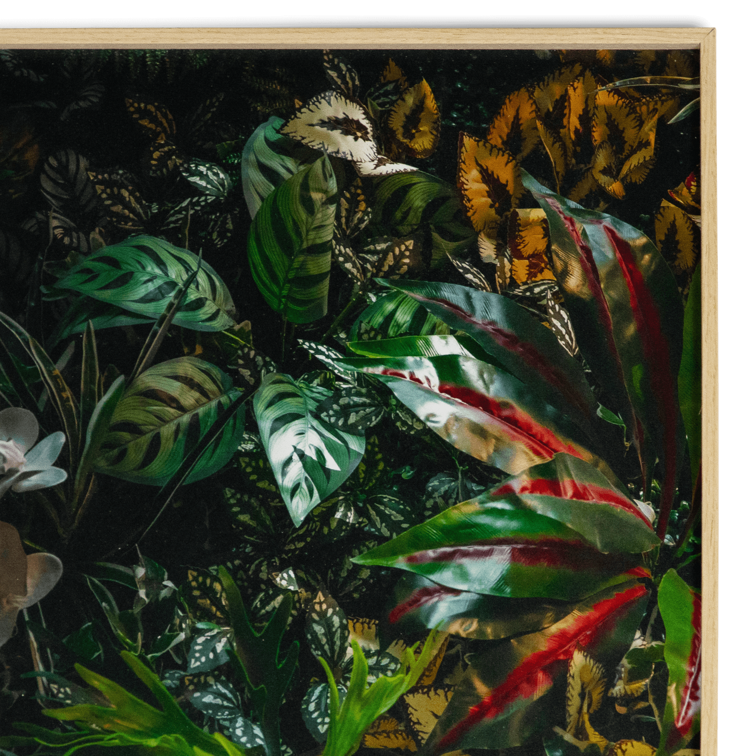 Greenery - 30 x 150cm Outdoor UV Wall Art with Beech Aluminium Frame