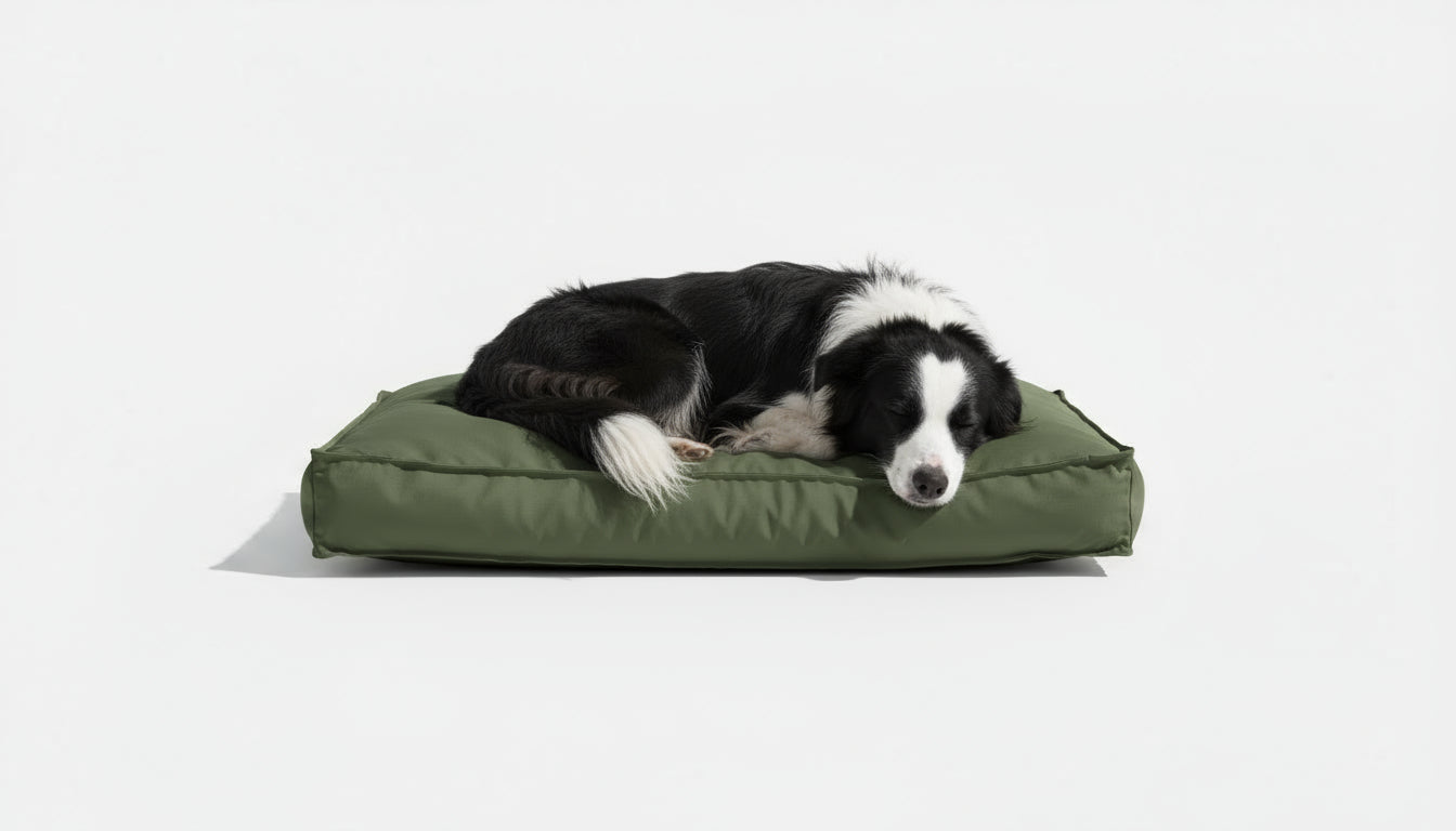 Pawesome Indoor/Outdoor Premium Rectangle Dog Bed in Avocado