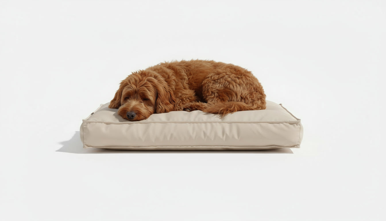 Pawesome Indoor/Outdoor Premium Rectangle Dog Bed in Tweed Beige