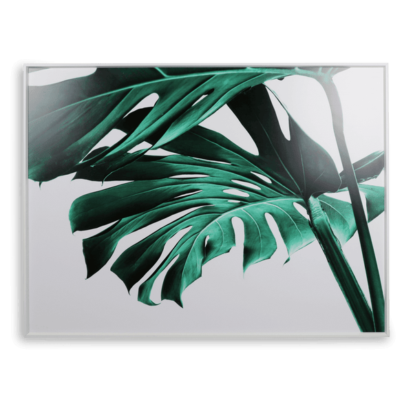 Greenpeace 2 - 60x80cm Outdoor UV Wall Art with Aluminium Frame - The Furniture Shack