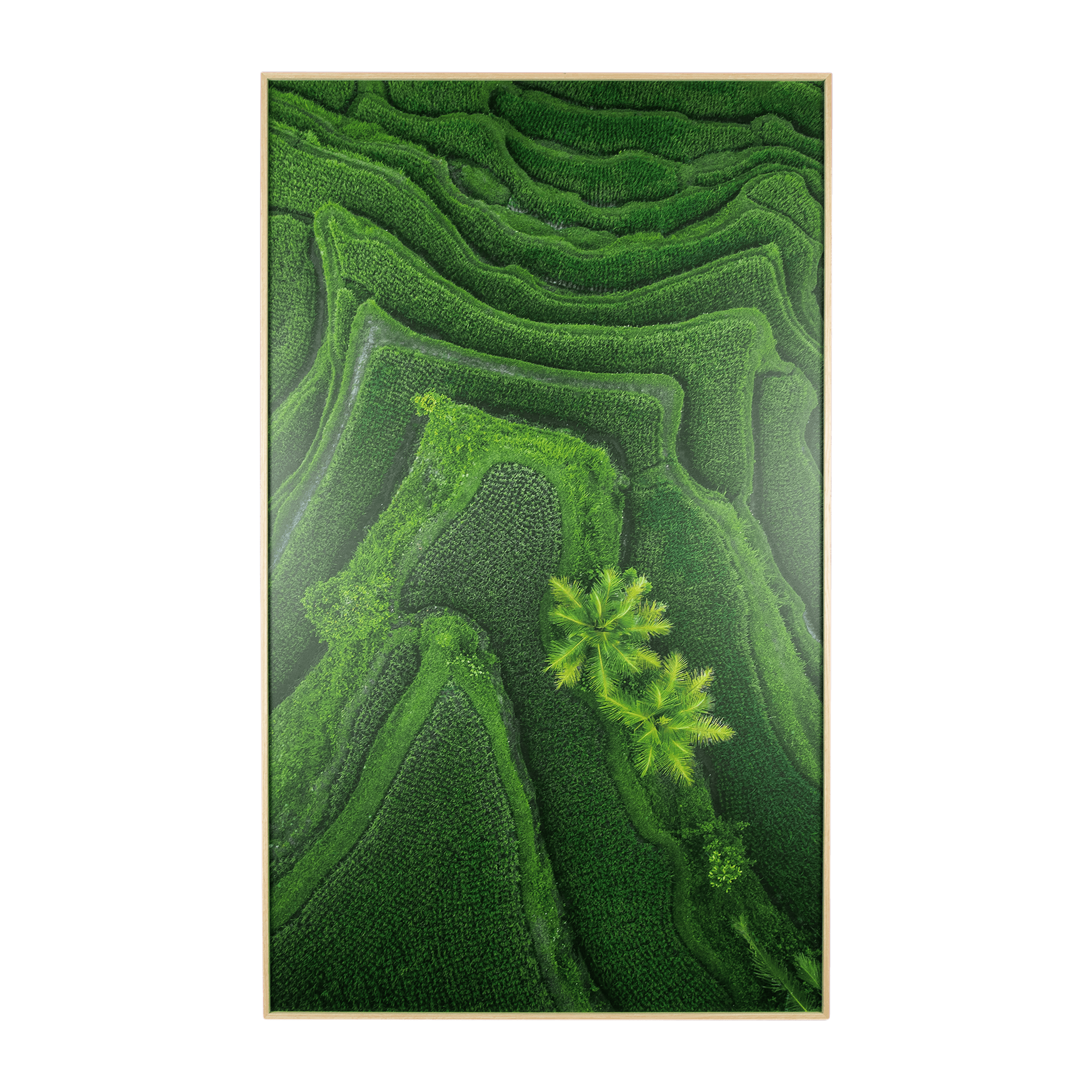 Ubud Dreaming 1 - 60 x 100cm Outdoor UV Wall Art with Beech Aluminium Frame - The Furniture Shack