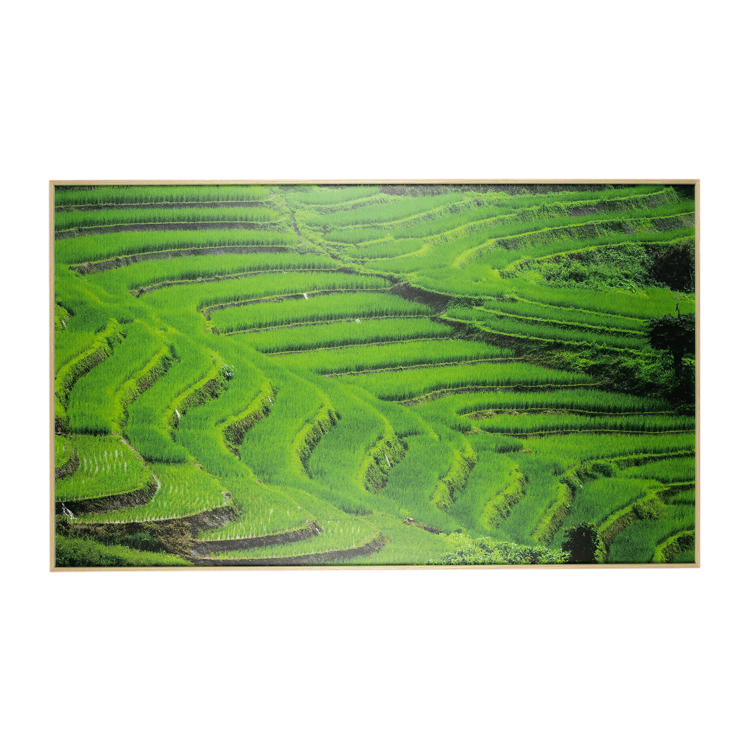 Outdoor Wall Art Buy Wall Art Online UD2 The Furniture Shack outdoor-wall-art-buy-wall-art-online-ud2-the-furniture-shack