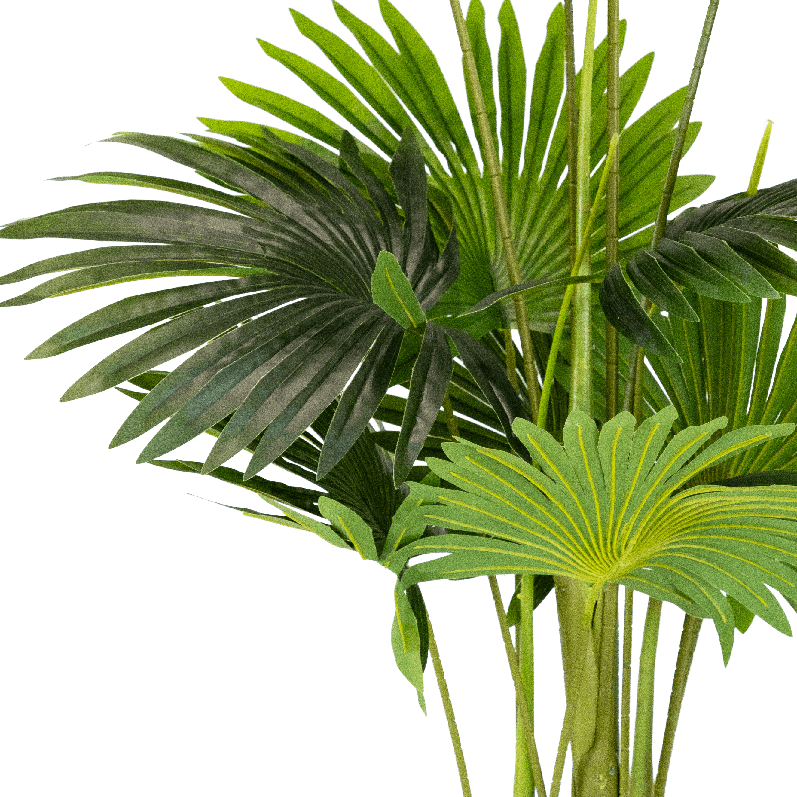 Palm 140cm