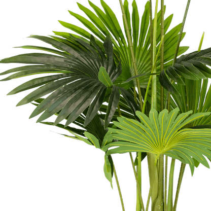 Palm 140cm