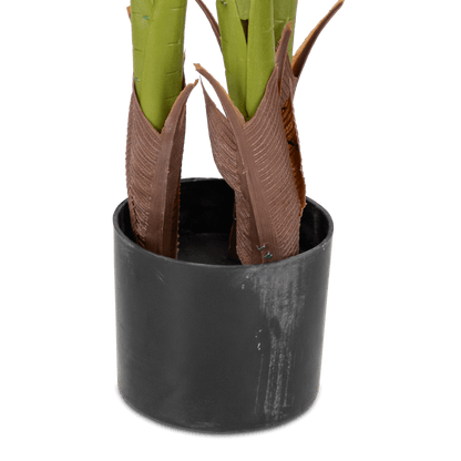 Palm 140cm