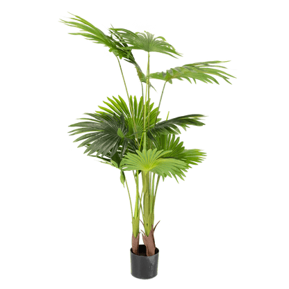 Palm 140cm