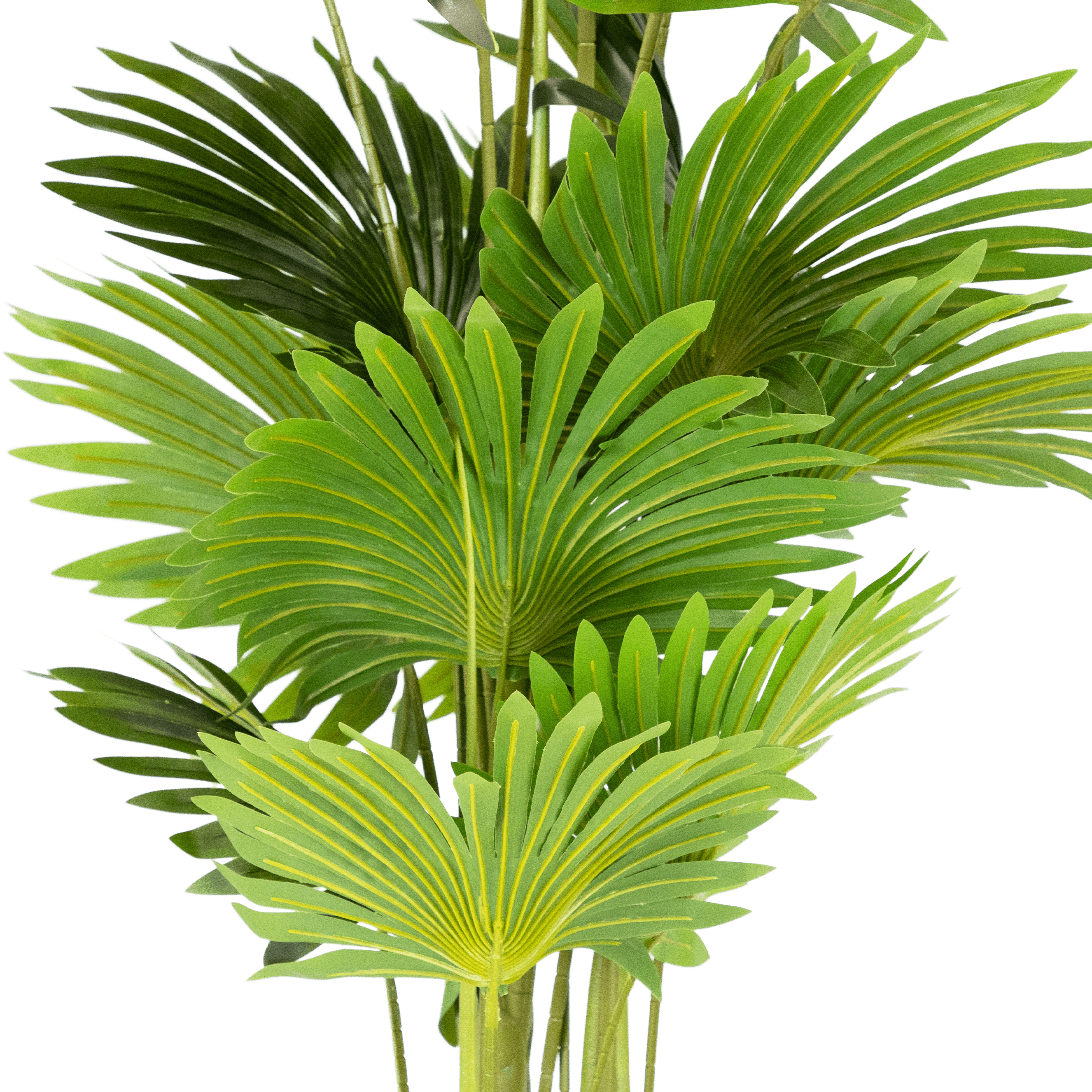 Palm 160cm