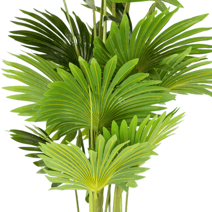 Palm 160cm