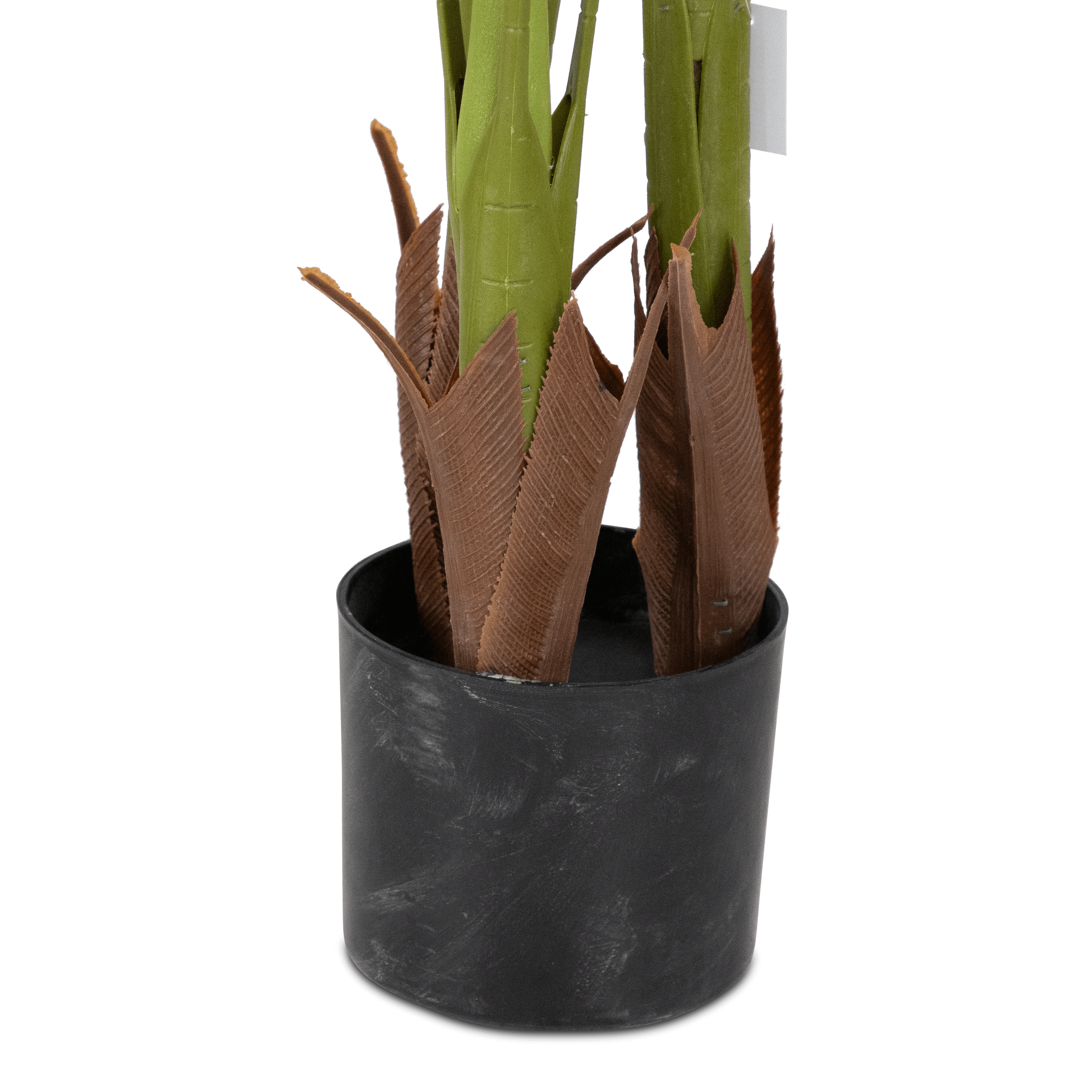 Palm 160cm