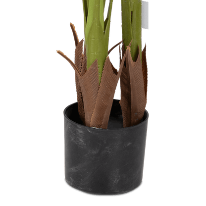 Palm 160cm