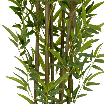 Bamboo 240cm