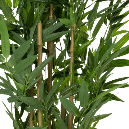 Bamboo Tree 180cm
