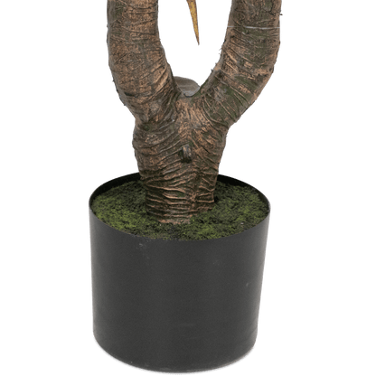 Yucca 145cm
