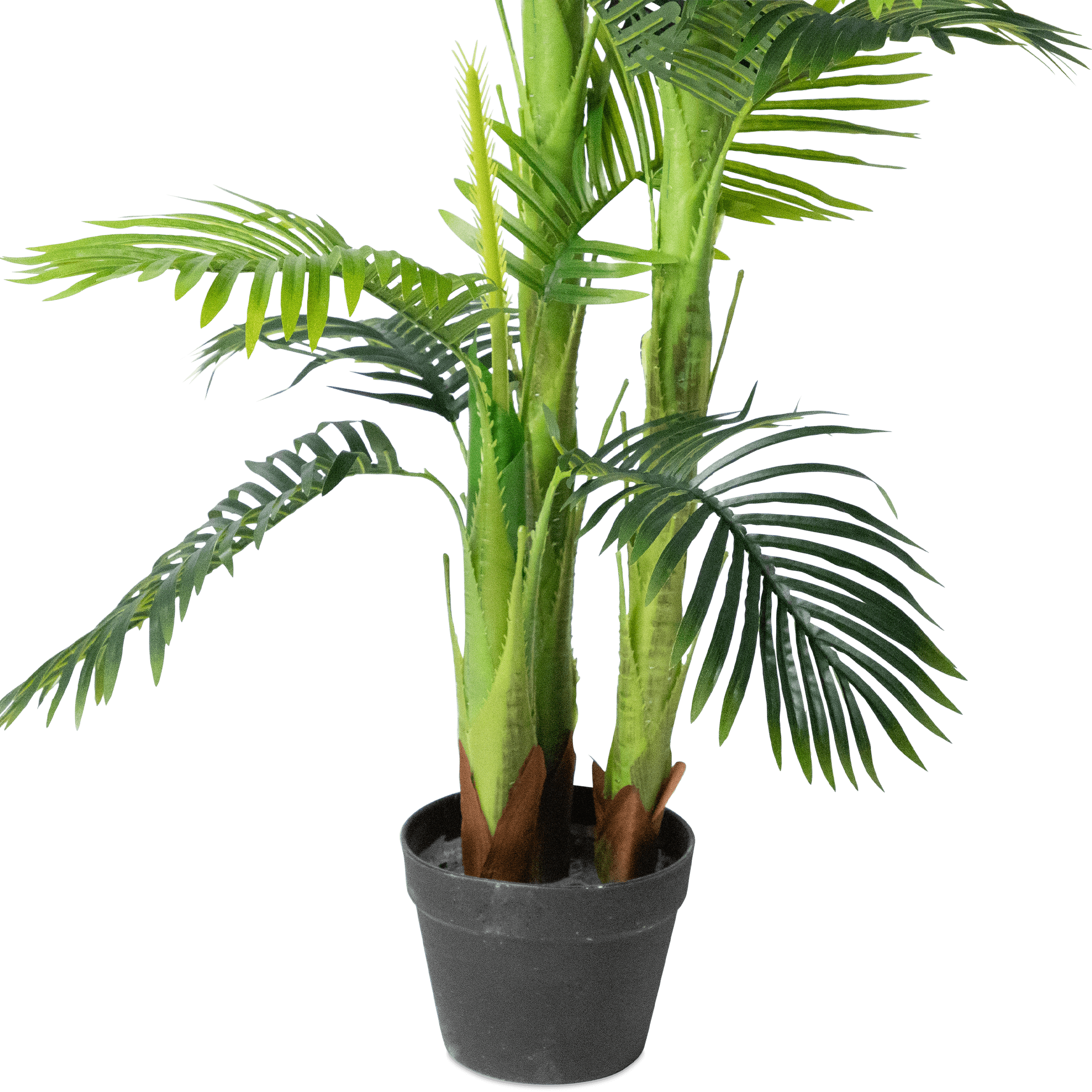 Palm 150cm