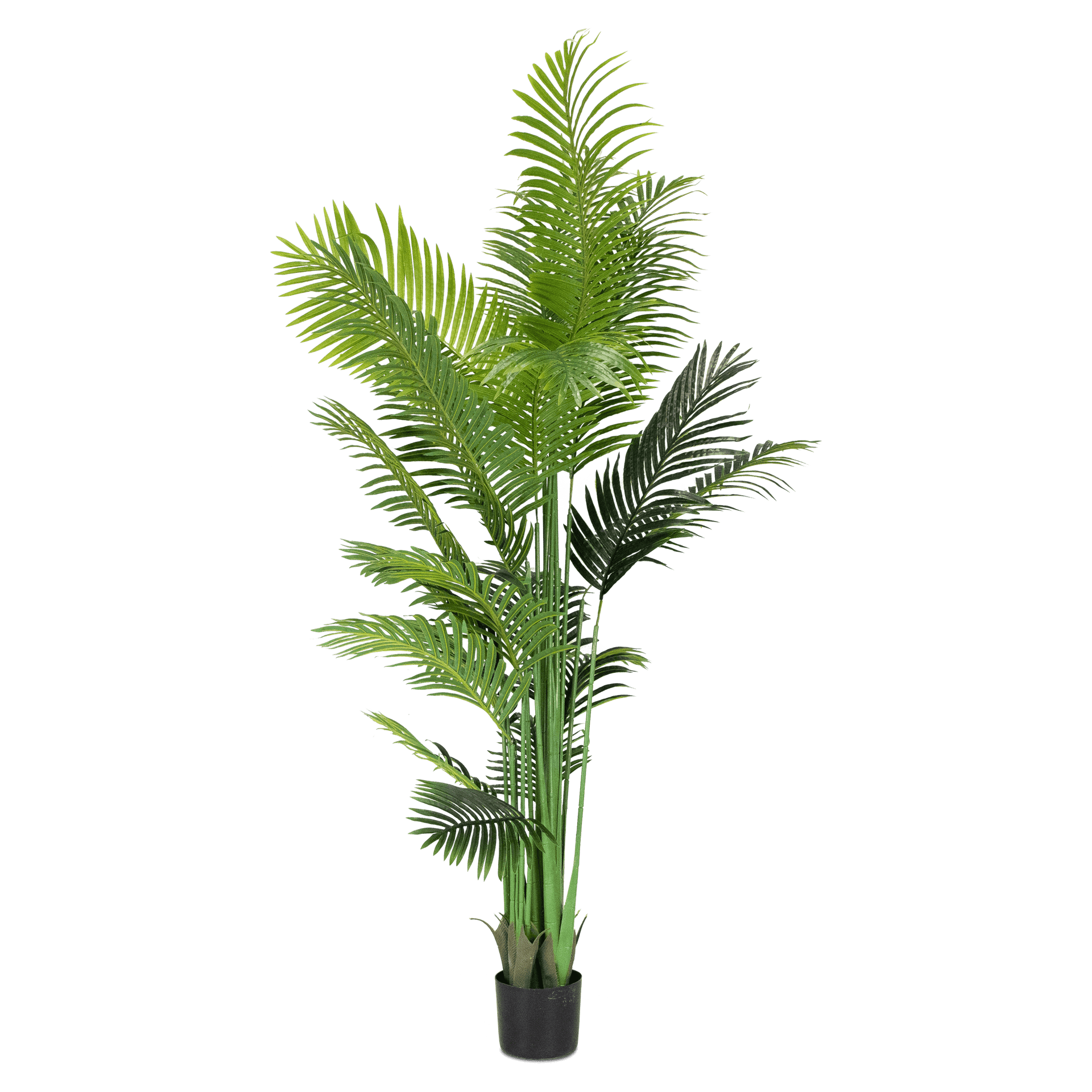 areca palm bush artificial 26 width Areca Palm 200cm – The Furniture Shack