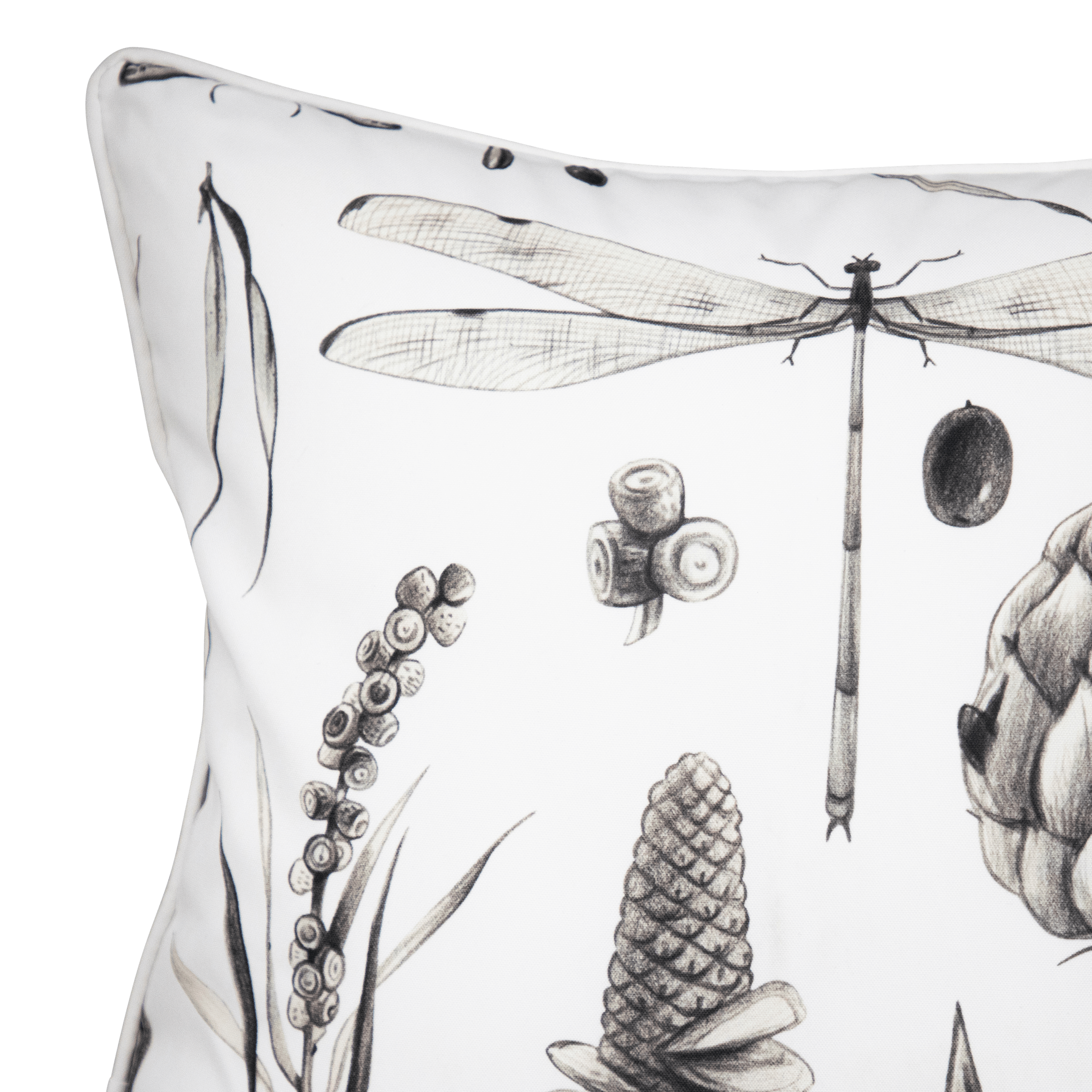 Bondi Botanica Sketch - 45 x 45 cm Piped Cushion