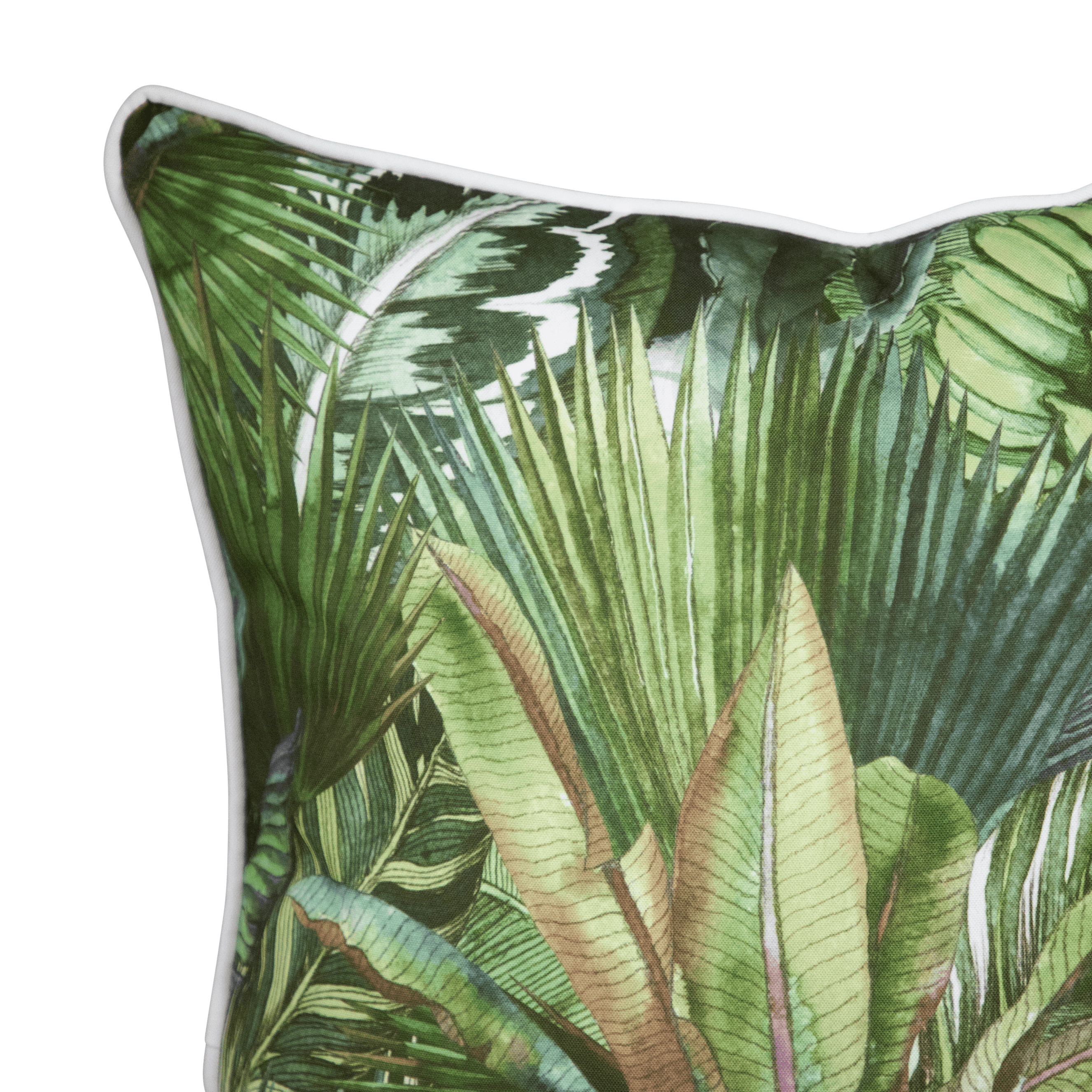 Bondi Fan Palm - 45 x 45 cm Piped Cushion