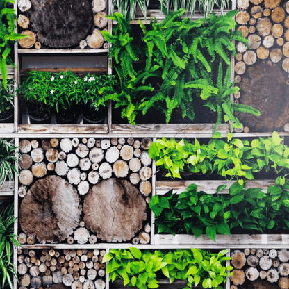 Market Garden - 100 x 100cm Outdoor UV Wall Art with Beech Aluminium Frame