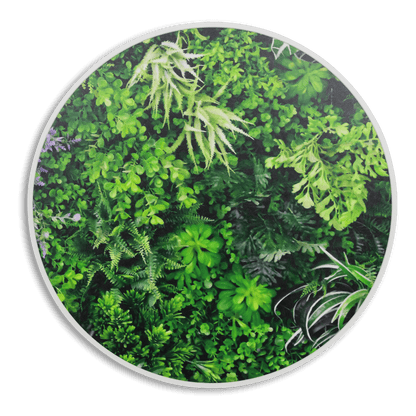 Eden Vista - 60cm Round Outdoor UV Wall Art with White Aluminium Frame
