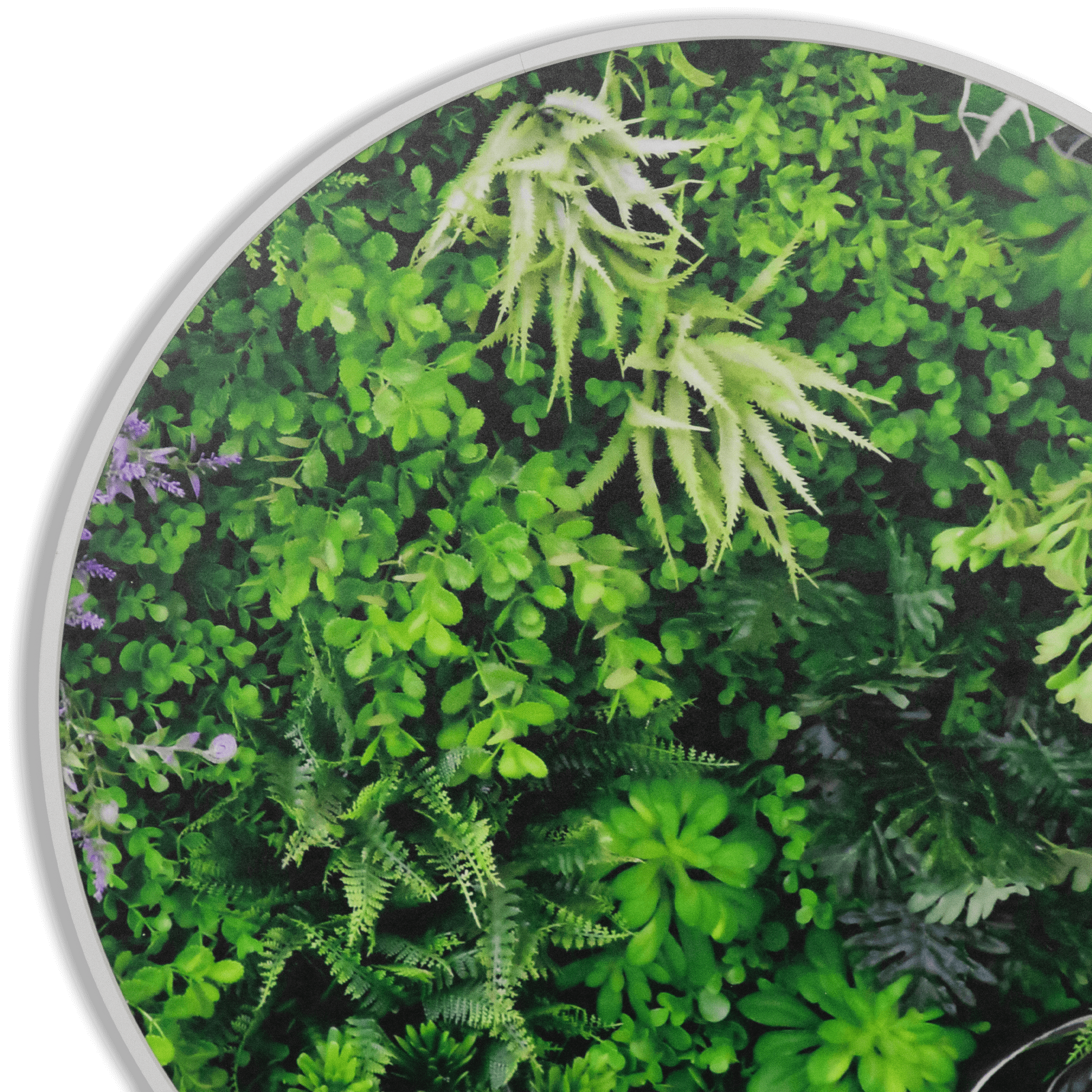 Eden Vista - 60cm Round Outdoor UV Wall Art with White Aluminium Frame