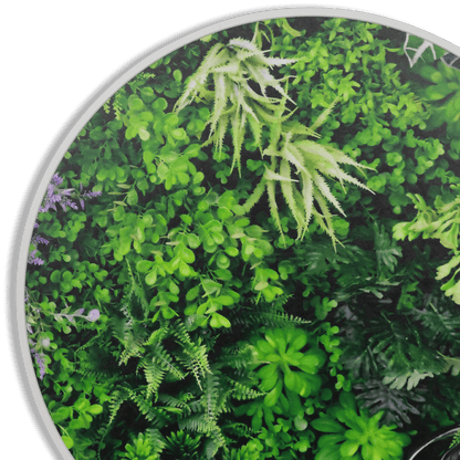 Eden Vista - 60cm Round Outdoor UV Wall Art with White Aluminium Frame