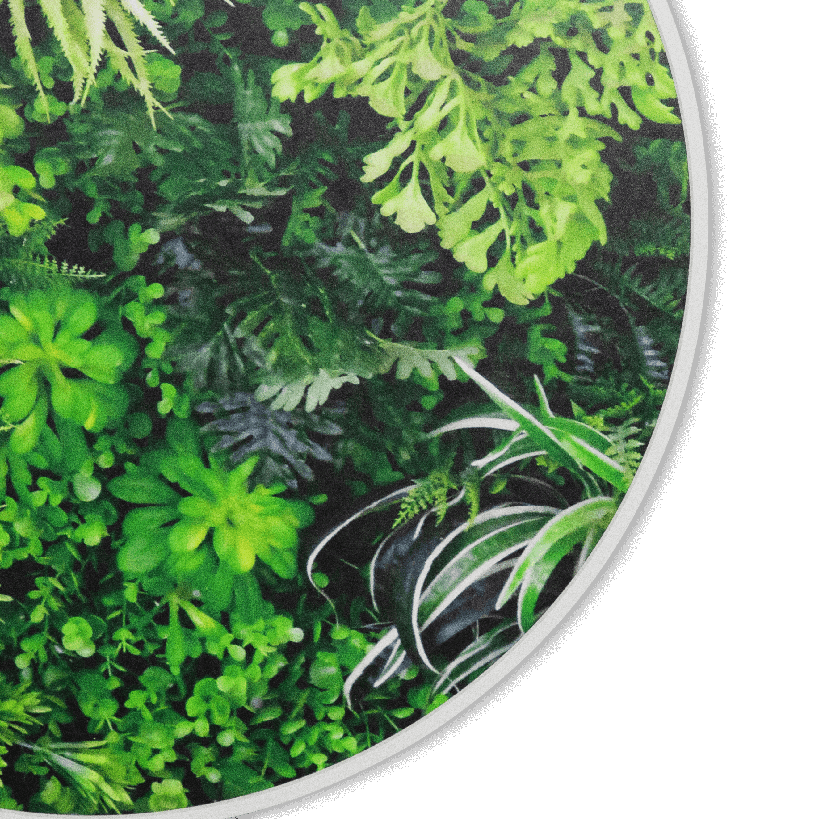 Eden Vista - 60cm Round Outdoor UV Wall Art with White Aluminium Frame