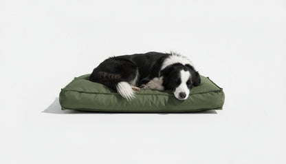 Pawesome Indoor/Outdoor Premium Rectangle Dog Bed in Avocado