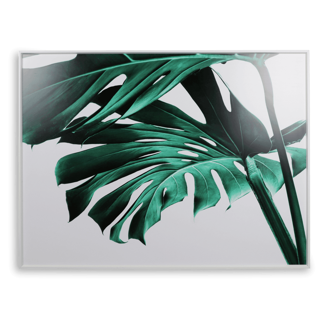 Greenpeace 2 - 60x80cm Outdoor UV Wall Art with Aluminium Frame - The Furniture Shack