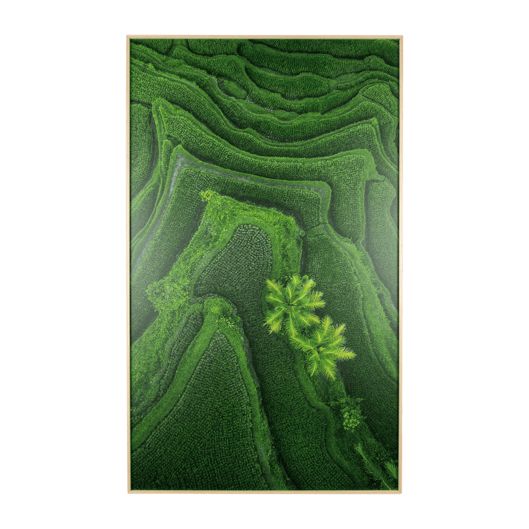 Ubud Dreaming 1 - 60 x 100cm Outdoor UV Wall Art with Beech Aluminium Frame - The Furniture Shack