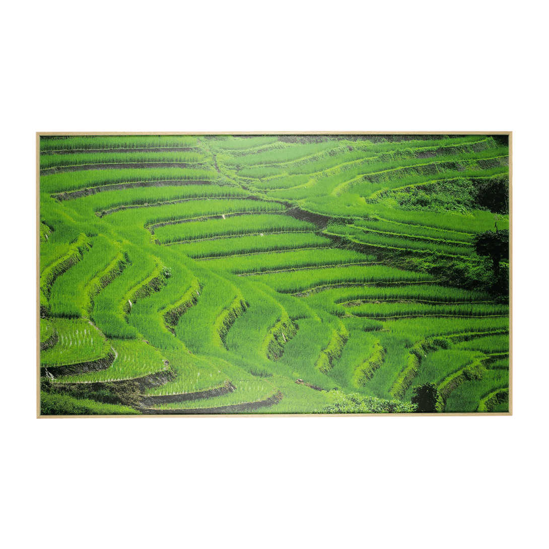 Ubud Dreaming 2 - 60 x 100cm Outdoor UV Wall Art with Beech Aluminium Frame - The Furniture Shack